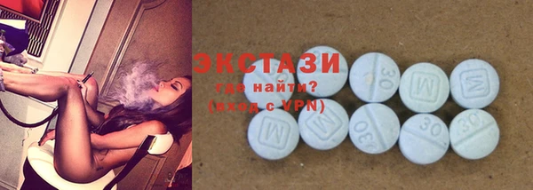 соль ск Новозыбков