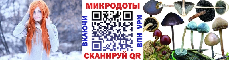 Галлюциногенные грибы мицелий Новосокольники
