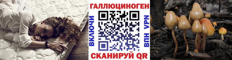 Псилоцибиновые грибы прущие грибы Новосокольники