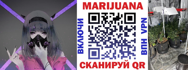 Бошки марихуана Bruce Banner  Новосокольники 